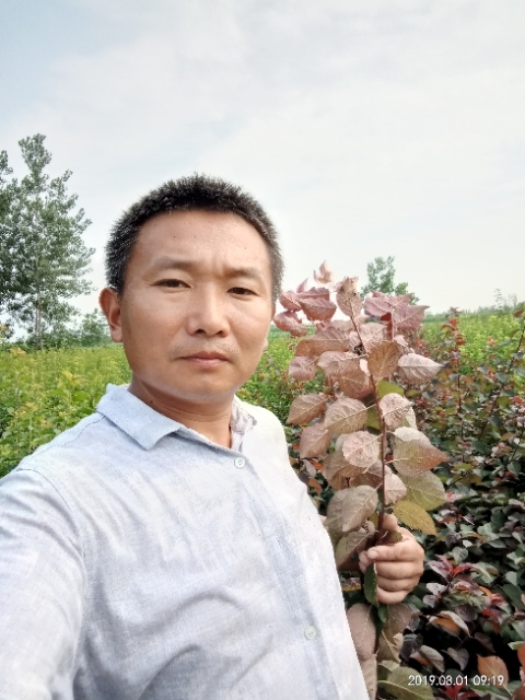 孩子爸的第二张照片--新沂父母相亲团